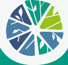 homepage logo icon 4 | ALS Worldwide
