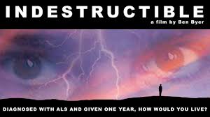 indestructible horizontal | ALS Worldwide