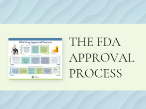 The FDA Approval Process graphic