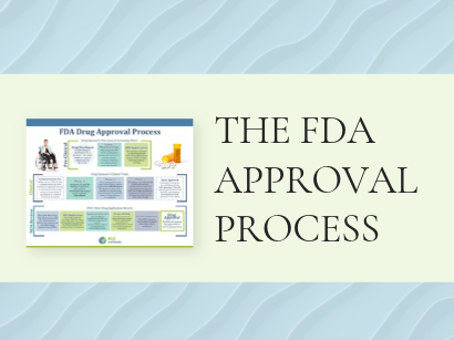 The FDA Approval Process graphic